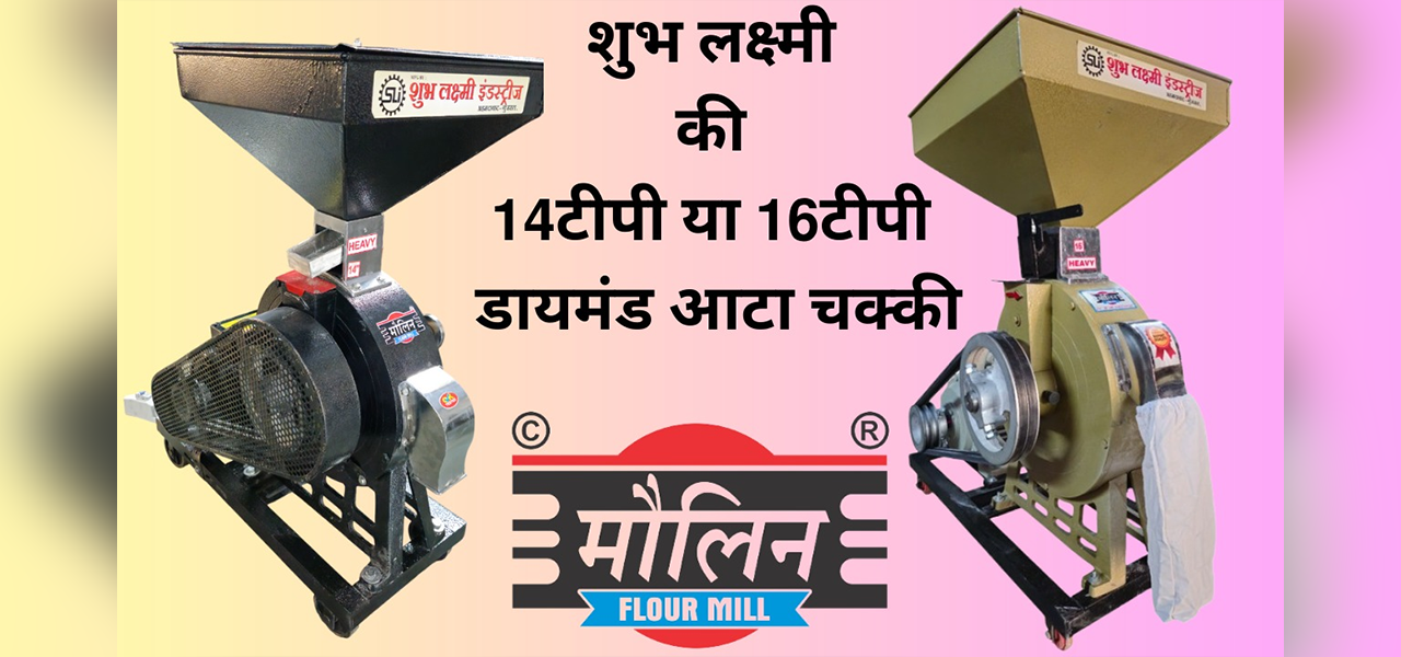 14 Diamond Commercial Atta Chakki